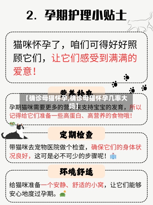 【确诊母猫怀孕,确诊母猫怀孕几率大吗】