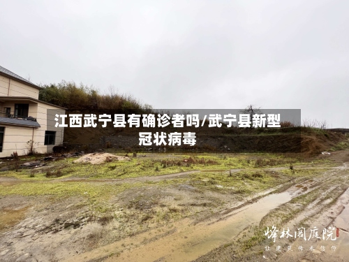 江西武宁县有确诊者吗/武宁县新型冠状病毒-第2张图片
