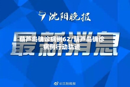 葫芦岛确诊病例62/葫芦岛确诊病例行动轨迹-第2张图片