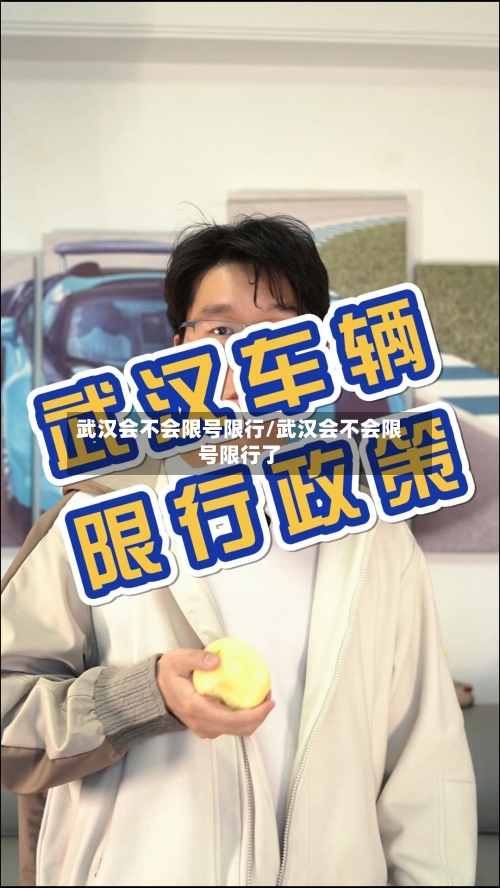 武汉会不会限号限行/武汉会不会限号限行了-第3张图片