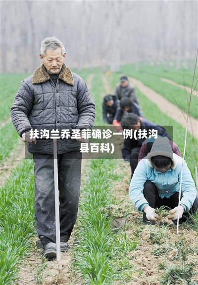 扶沟兰乔圣菲确诊一例(扶沟县百科)-第2张图片