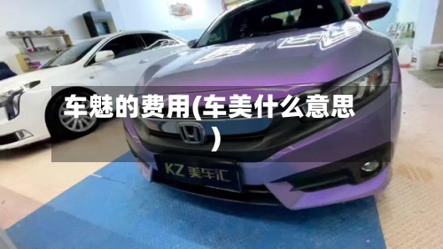 车魅的费用(车美什么意思)