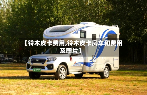 【铃木皮卡费用,铃木皮卡房车和费用及图片】-第2张图片