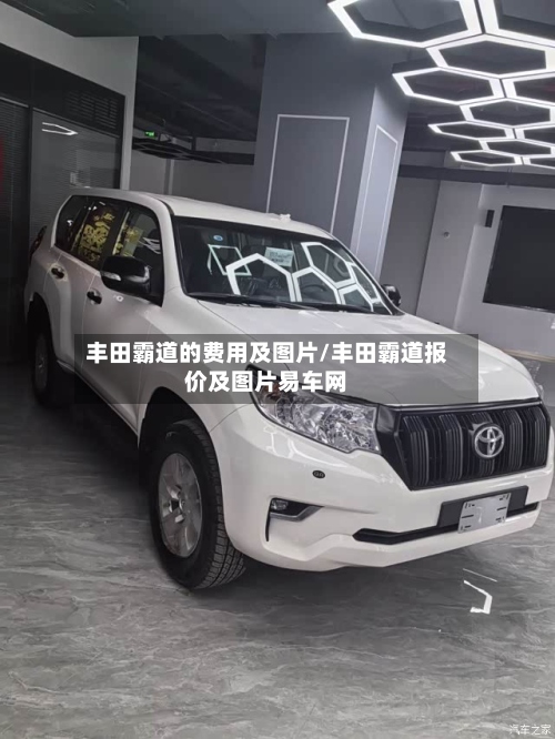丰田霸道的费用及图片/丰田霸道报价及图片易车网-第3张图片