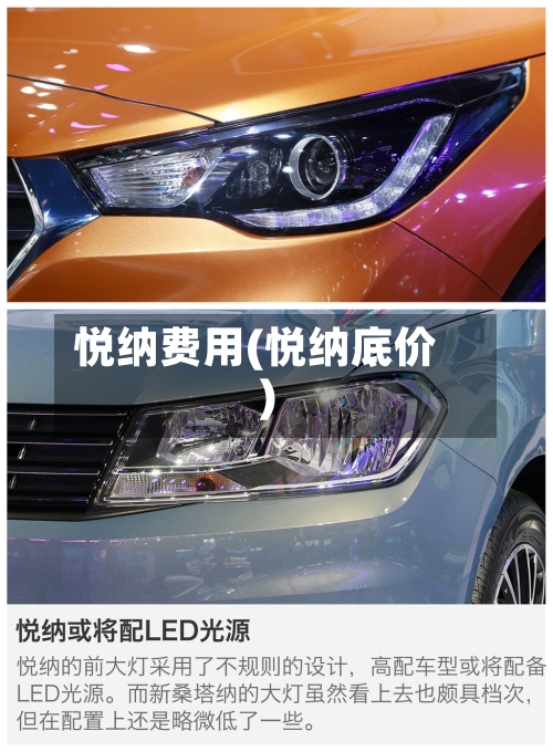 悦纳费用(悦纳底价)