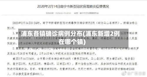 浦东各镇确诊病例分布(浦东新增2例在哪个镇)-第2张图片