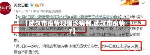 【武汉市疫情现确诊病例,武汉市疫情?】
