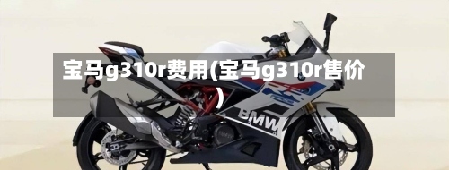 宝马g310r费用(宝马g310r售价)-第3张图片