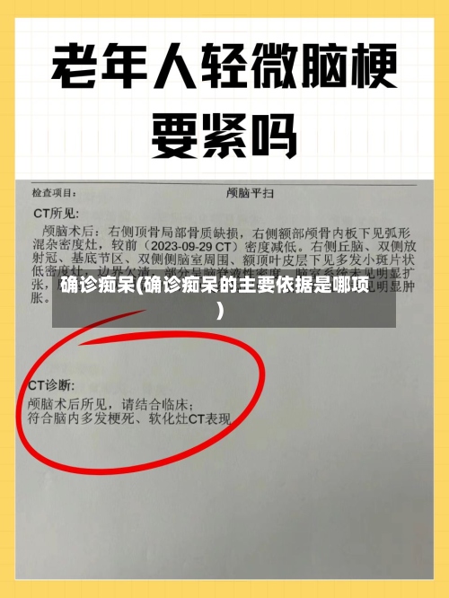 确诊痴呆(确诊痴呆的主要依据是哪项)-第2张图片