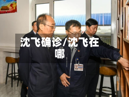 沈飞确诊/沈飞在哪