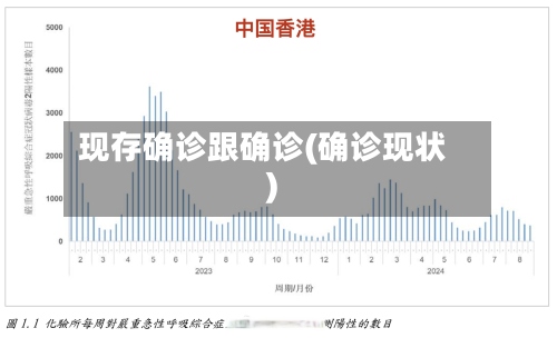 现存确诊跟确诊(确诊现状)-第2张图片