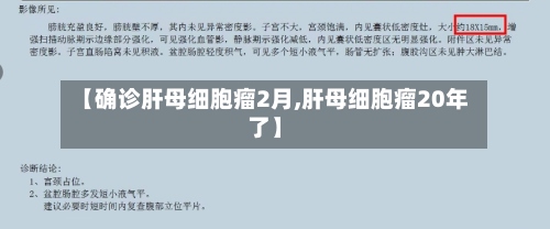 【确诊肝母细胞瘤2月,肝母细胞瘤20年了】-第2张图片