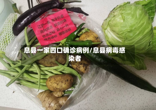 息县一家四口确诊病例/息县病毒感染者-第2张图片