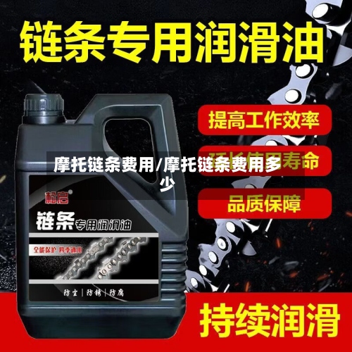 摩托链条费用/摩托链条费用多少-第3张图片