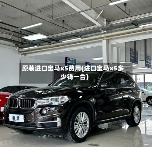 原装进口宝马x5费用(进口宝马x5多少钱一台)-第3张图片
