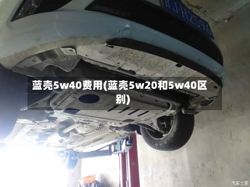 蓝壳5w40费用(蓝壳5w20和5w40区别)