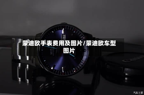 蒙迪欧手表费用及图片/蒙迪欧车型图片-第2张图片