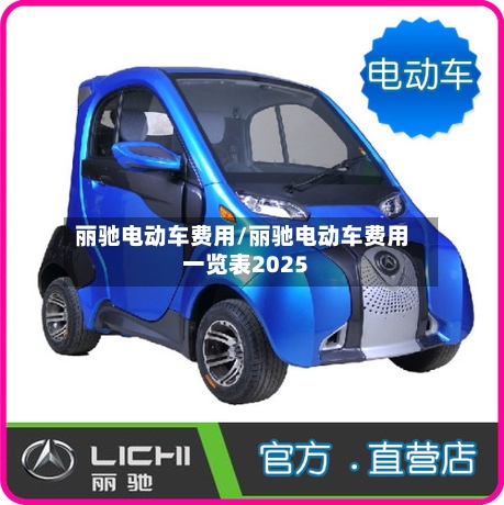 丽驰电动车费用/丽驰电动车费用一览表2025-第2张图片