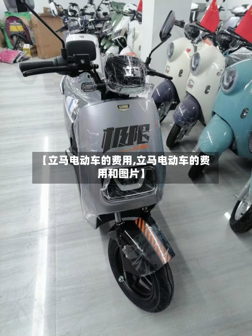 【立马电动车的费用,立马电动车的费用和图片】-第2张图片