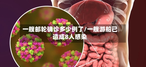 一艘邮轮确诊多少例了/一艘游船已造成8人感染-第2张图片