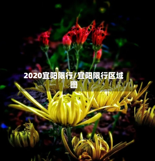2020宜阳限行/宜阳限行区域图