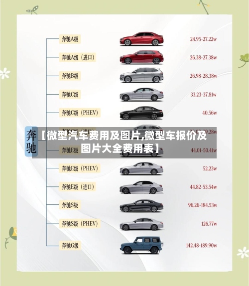 【微型汽车费用及图片,微型车报价及图片大全费用表】-第3张图片