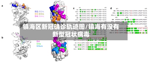 镇海区新冠确诊轨迹图/镇海有没有新型冠状病毒