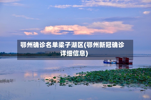 鄂州确诊名单梁子湖区(鄂州新冠确诊详细信息)