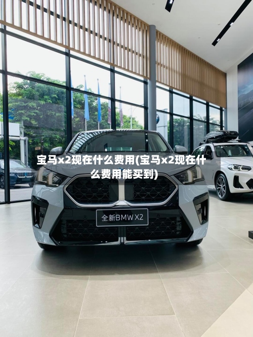 宝马x2现在什么费用(宝马x2现在什么费用能买到)-第2张图片