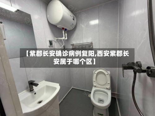 【紫郡长安确诊病例复阳,西安紫郡长安属于哪个区】-第2张图片