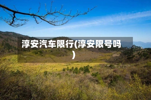 淳安汽车限行(淳安限号吗)-第2张图片