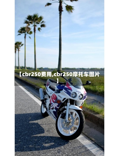 【cbr250费用,cbr250摩托车图片】-第2张图片