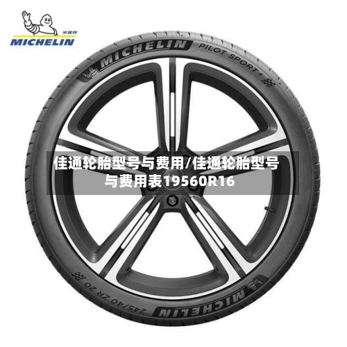 佳通轮胎型号与费用/佳通轮胎型号与费用表19560R16