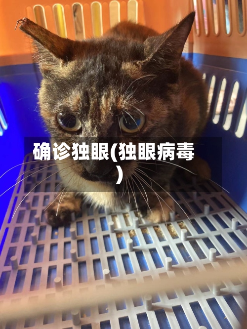 确诊独眼(独眼病毒)-第2张图片