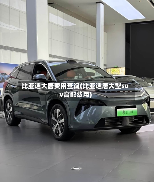 比亚迪大唐费用查询(比亚迪唐大型suv高配费用)