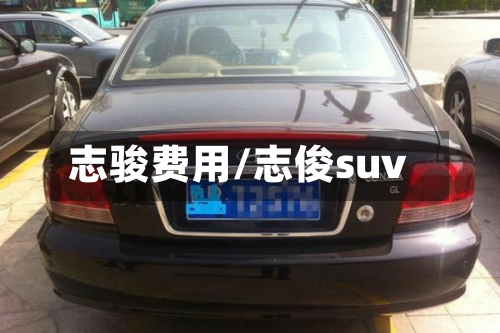 志骏费用/志俊suv-第3张图片