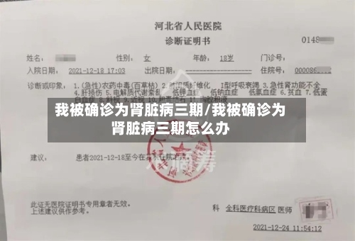 我被确诊为肾脏病三期/我被确诊为肾脏病三期怎么办-第3张图片