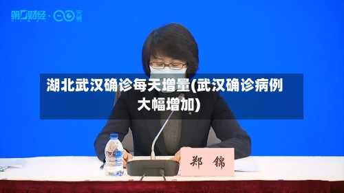湖北武汉确诊每天增量(武汉确诊病例大幅增加)
