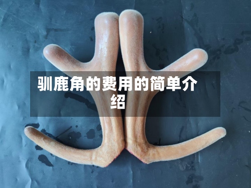 驯鹿角的费用的简单介绍-第3张图片