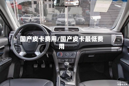 国产皮卡费用/国产皮卡最低费用-第2张图片