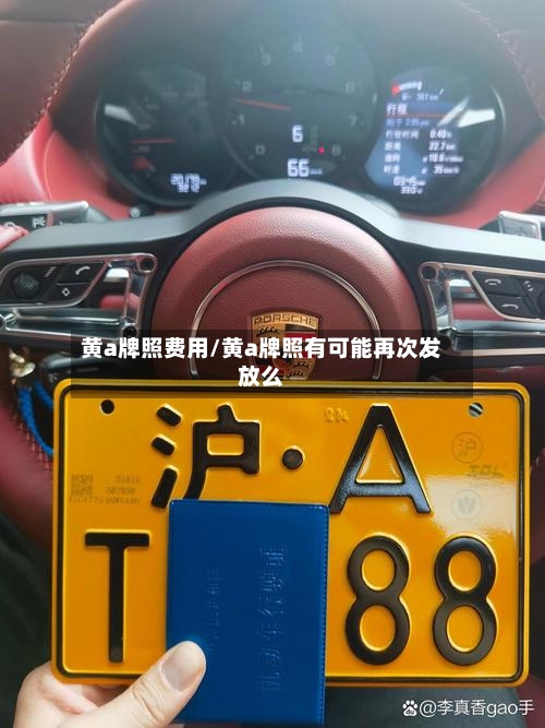 黄a牌照费用/黄a牌照有可能再次发放么-第3张图片