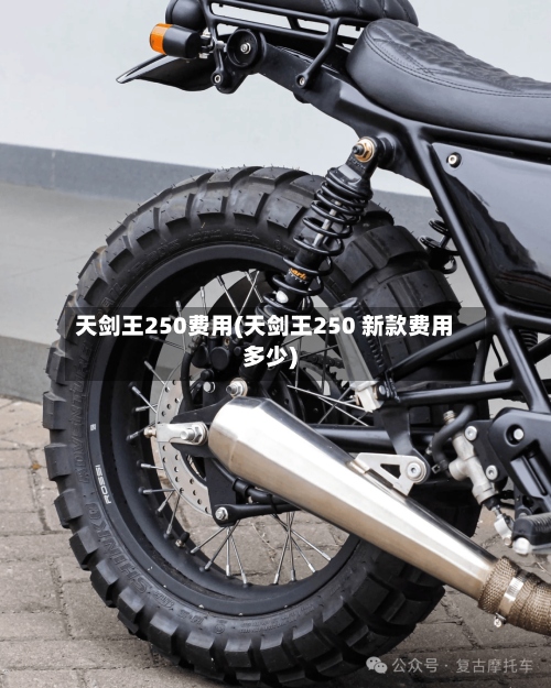 天剑王250费用(天剑王250 新款费用多少)-第2张图片