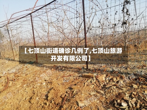 【七顶山街道确诊几例了,七顶山旅游开发有限公司】-第2张图片