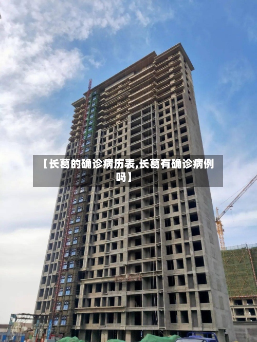 【长葛的确诊病历表,长葛有确诊病例吗】