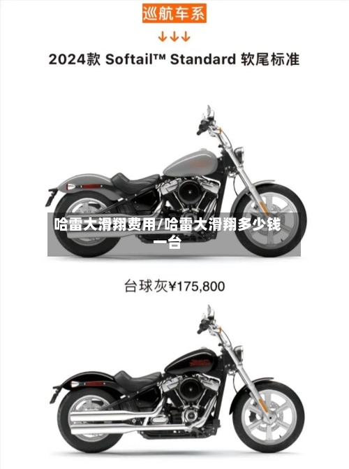 哈雷大滑翔费用/哈雷大滑翔多少钱一台