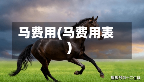 马费用(马费用表)