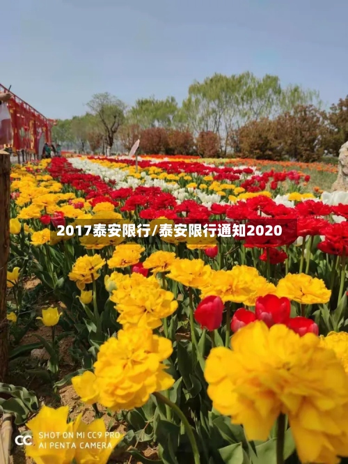 2017泰安限行/泰安限行通知2020