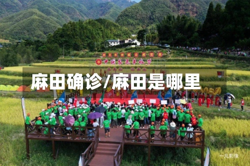 麻田确诊/麻田是哪里-第2张图片