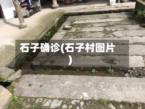 石子确诊(石子村图片)-第2张图片