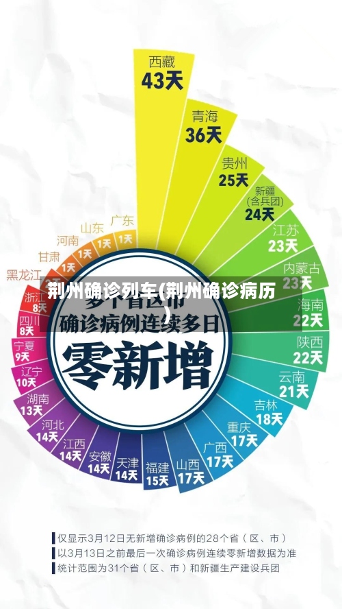 荆州确诊列车(荆州确诊病历)-第3张图片